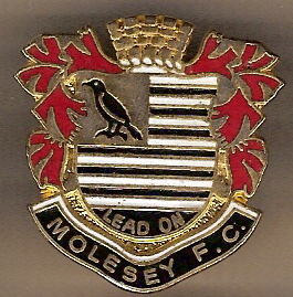 Badge Molesey FC